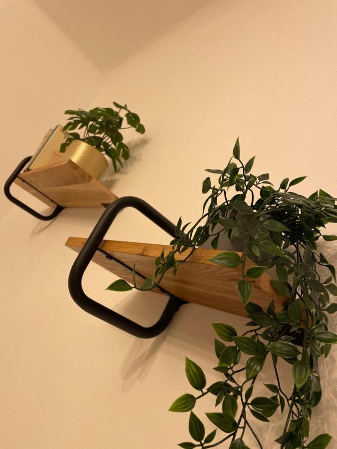 וינה Trendy Apartment Near Schloss Schonbrunn מראה חיצוני תמונה